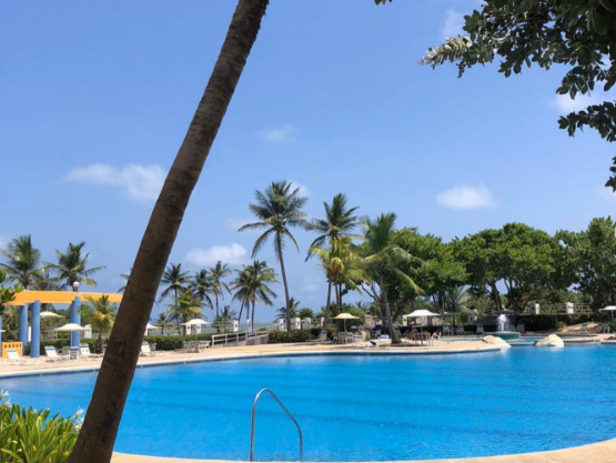 Piscina Caribbean Suites playa, Alquiler Vacacional en Venezuela - Posada alberca agua azul palmeras