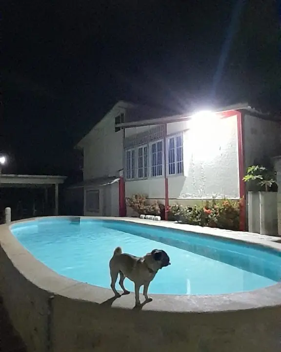 WhatsApp Image 2025-07-30 at 12.57.33 PM (1)