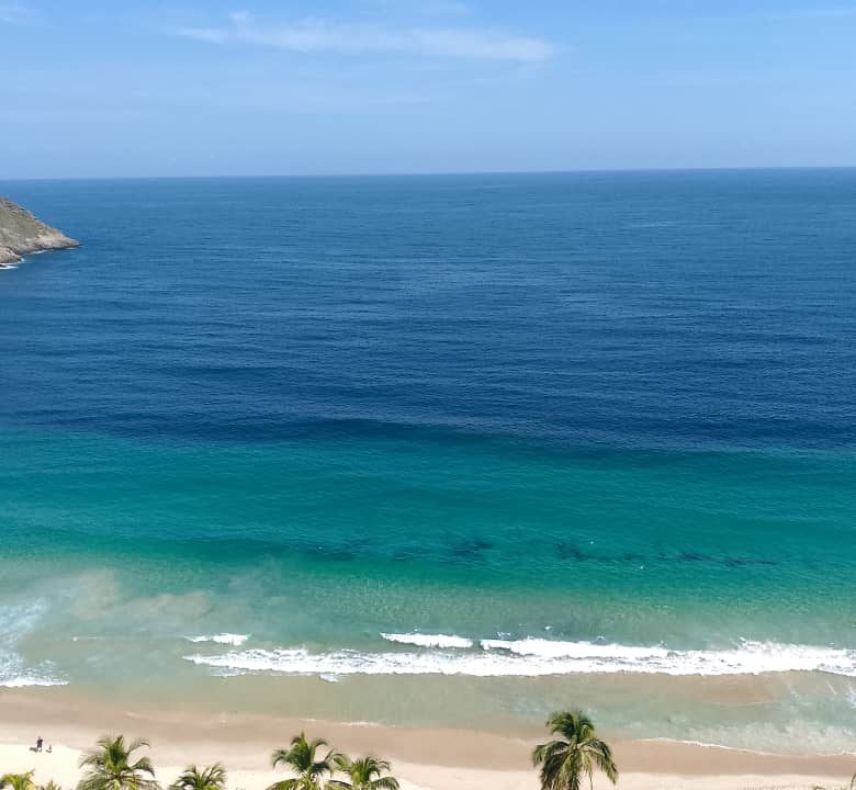 WhatsApp Image 2025-11-14 at 10.57.16 AM